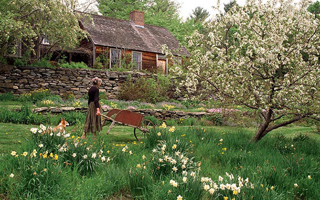 Bỏ phố về quê, bà cụ U100 biến mảnh đất quê thành căn nhà vườn trị giá 2 triệu USD, tận hưởng cuộc sống đẹp như tranh vẽ